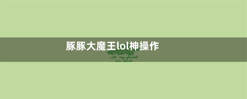 豚豚大魔王lol神操作