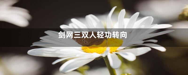 剑网三双人轻功转向