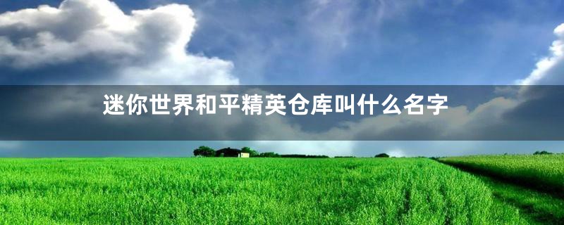 迷你世界和平精英仓库叫什么名字