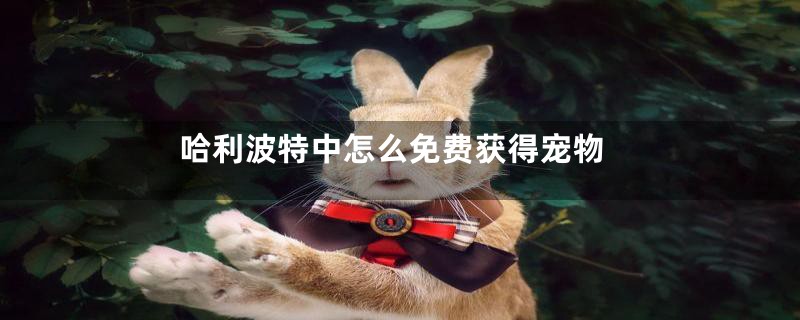 哈利波特中怎么免费获得宠物