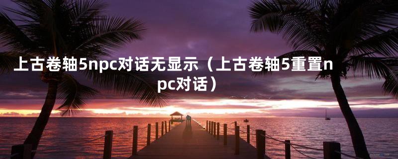 上古卷轴5npc对话无显示（上古卷轴5重置npc对话）