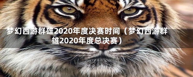 梦幻西游群雄2020年度决赛时间（梦幻西游群雄2020年度总决赛）