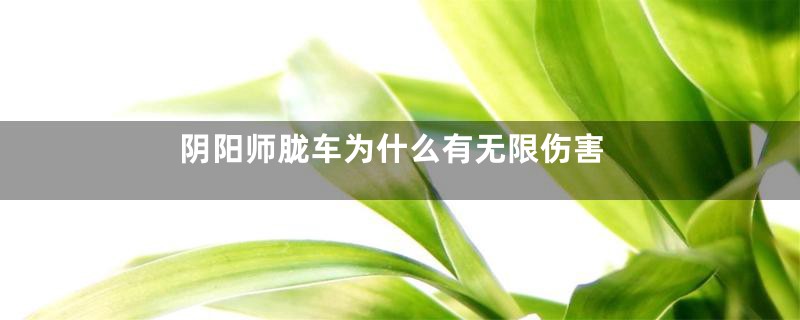 阴阳师胧车为什么有无限伤害