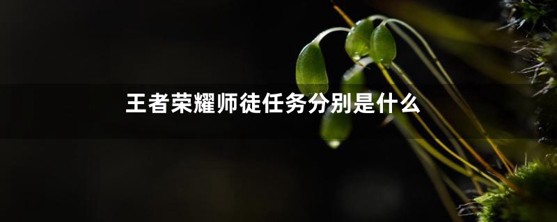 王者荣耀师徒任务分别是什么