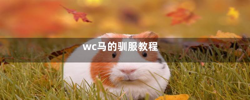 wc马的驯服教程