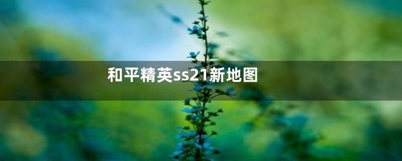 和平精英ss21新地图