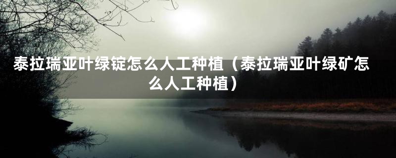 泰拉瑞亚叶绿锭怎么人工种植（泰拉瑞亚叶绿矿怎么人工种植）