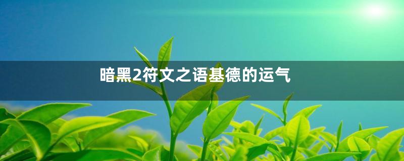 暗黑2符文之语基德的运气