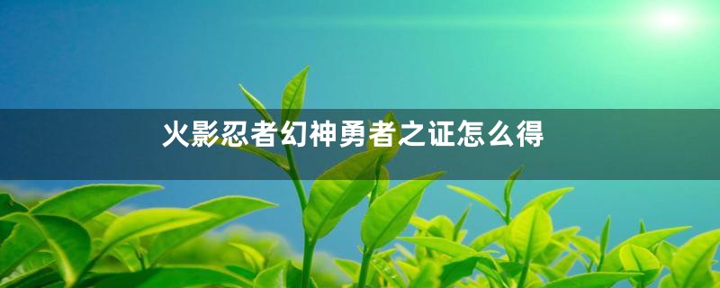 火影忍者幻神勇者之证怎么得