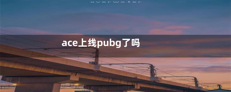 ace上线pubg了吗