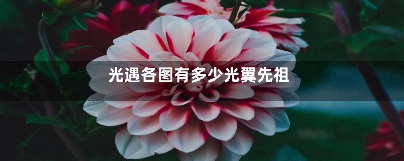 光遇各图有多少光翼先祖