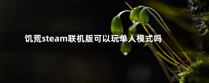 饥荒steam联机版可以玩单人模式吗