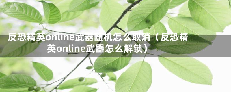 反恐精英online武器随机怎么取消（反恐精英online武器怎么解锁）