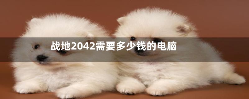 战地2042需要多少钱的电脑