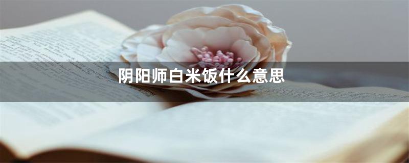 阴阳师白米饭什么意思