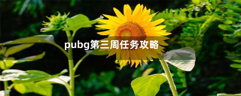 pubg第三周任务攻略