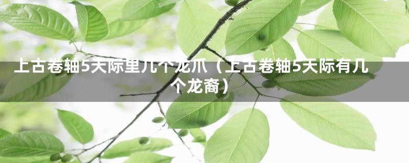 上古卷轴5天际里几个龙爪（上古卷轴5天际有几个龙裔）