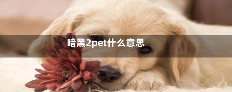 暗黑2pet什么意思