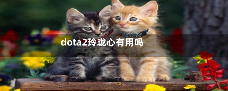 dota2玲珑心有用吗