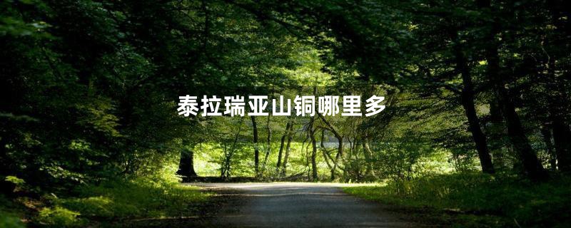 泰拉瑞亚山铜哪里多