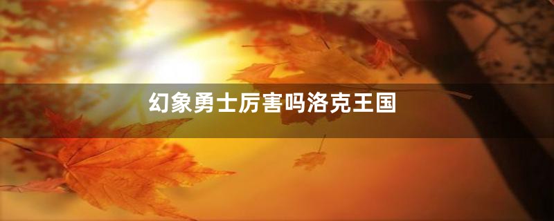 幻象勇士厉害吗洛克王国