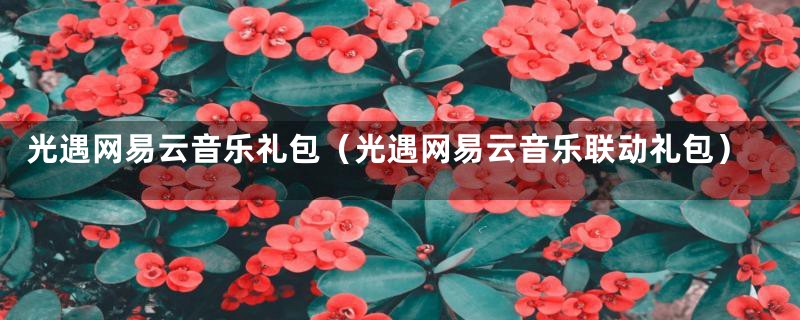 光遇网易云音乐礼包（光遇网易云音乐联动礼包）