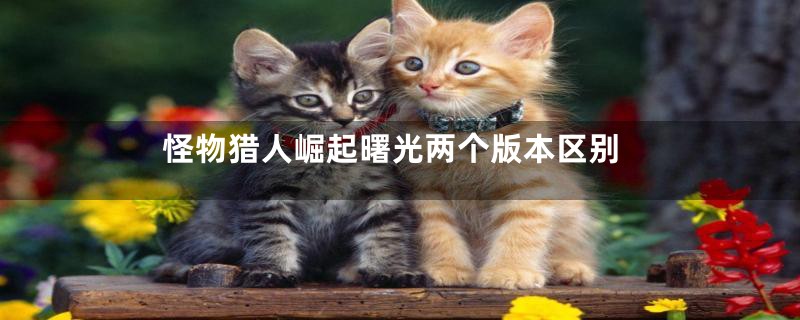 怪物猎人崛起曙光两个版本区别