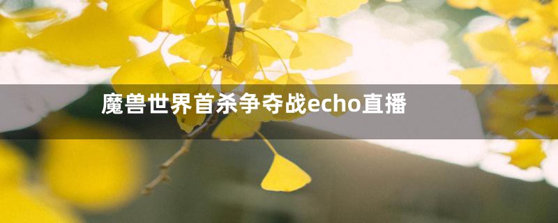 魔兽世界首杀争夺战echo直播