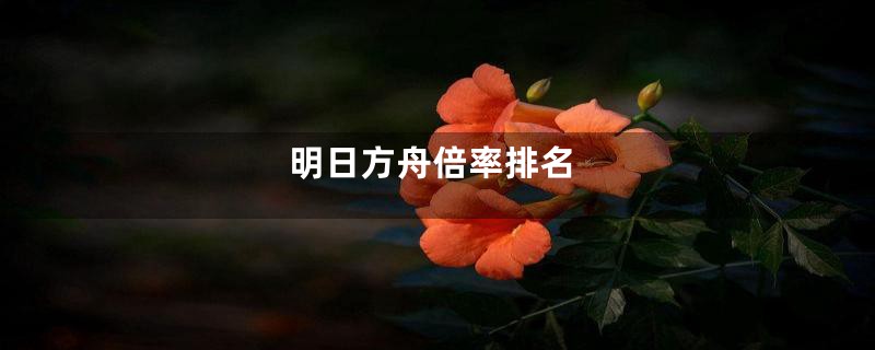 明日方舟倍率排名