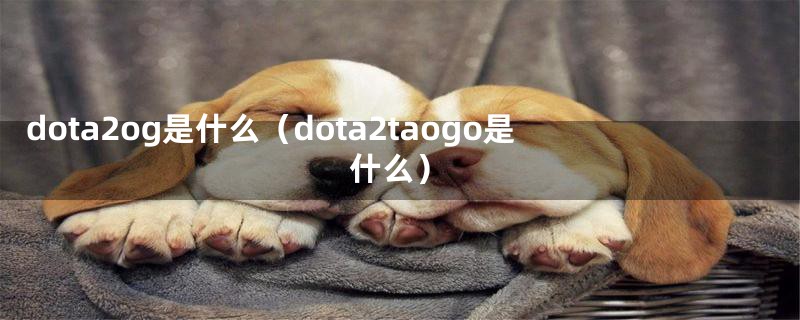 dota2og是什么（dota2taogo是什么）