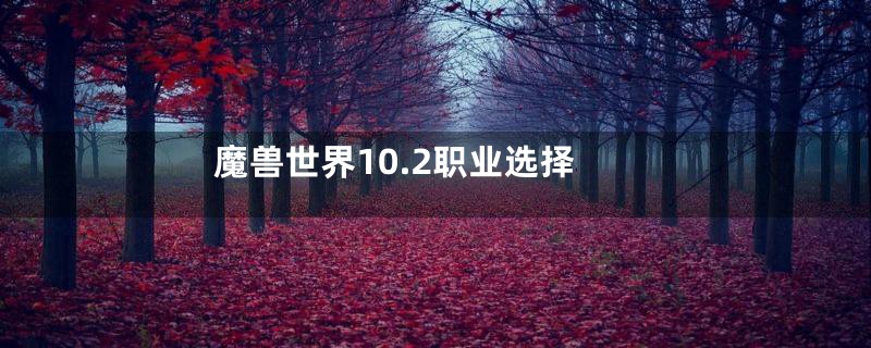 魔兽世界10.2职业选择