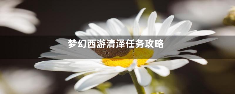 梦幻西游清泽任务攻略