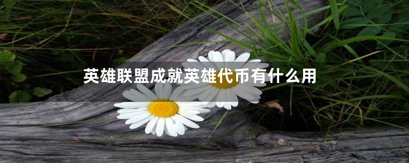 英雄联盟成就英雄代币有什么用