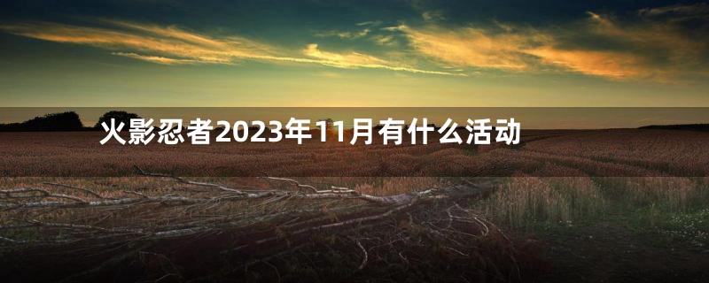 火影忍者2023年11月有什么活动