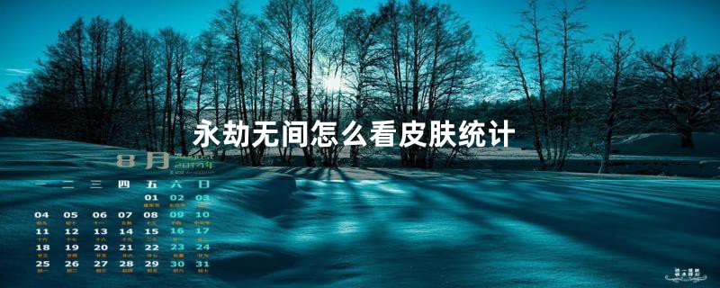 永劫无间怎么看皮肤统计