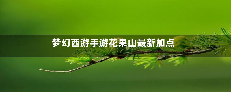 梦幻西游手游花果山最新加点