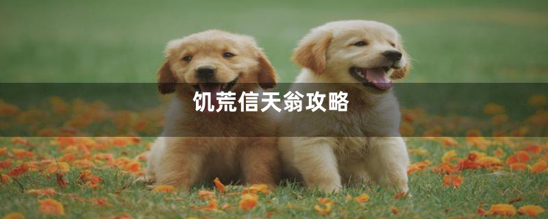 饥荒信天翁攻略