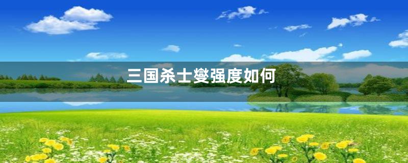 三国杀士燮强度如何