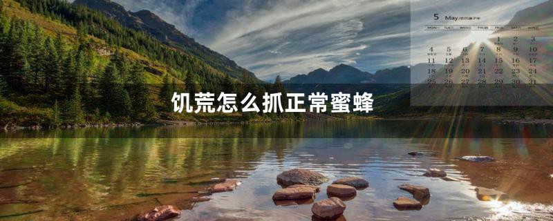 饥荒怎么抓正常蜜蜂