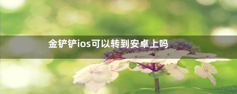 金铲铲ios可以转到安卓上吗