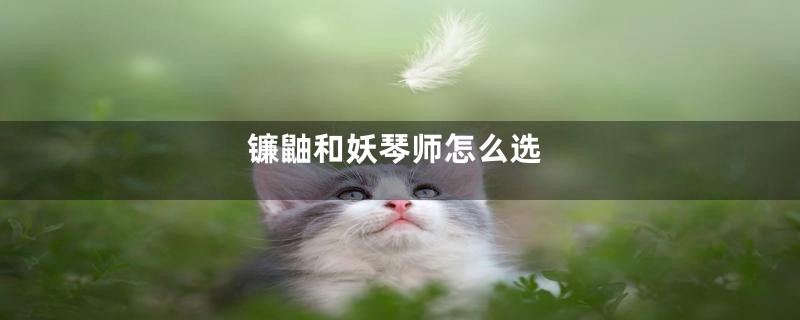 镰鼬和妖琴师怎么选