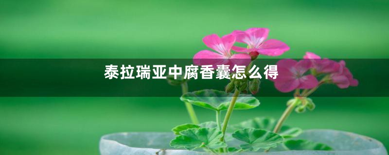 泰拉瑞亚中腐香囊怎么得