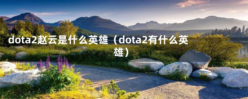 dota2赵云是什么英雄（dota2有什么英雄）