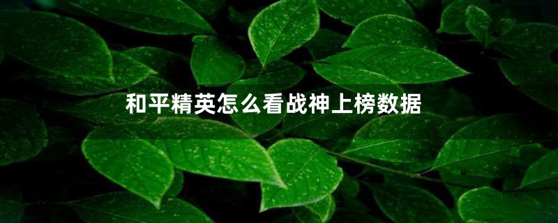 和平精英怎么看战神上榜数据