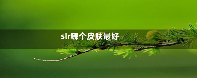 slr哪个皮肤最好