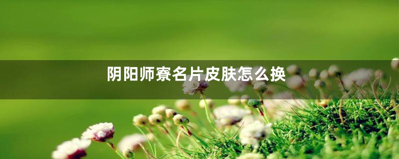 阴阳师寮名片皮肤怎么换