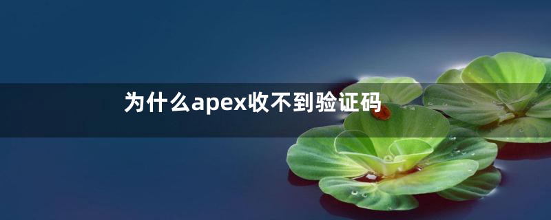 为什么apex收不到验证码