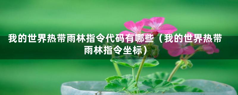 我的世界热带雨林指令代码有哪些（我的世界热带雨林指令坐标）