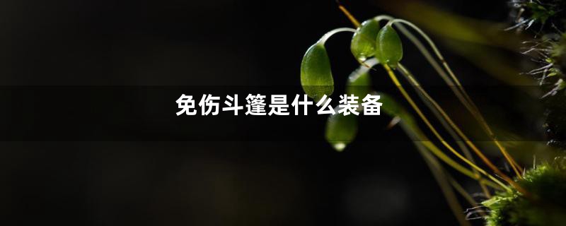 免伤斗篷是什么装备