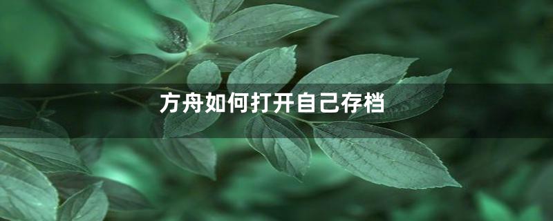 方舟如何打开自己存档